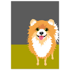 Poster pop art con illustrazione di un volpino, cane soffice e simpatico, decorazione moderna per casa e amanti dei cani.